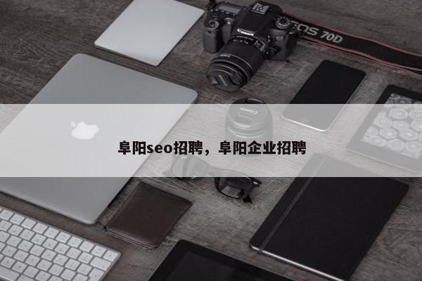 阜阳seo招聘，阜阳企业招聘