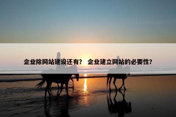 企业除网站建设还有？ 企业建立网站的必要性？