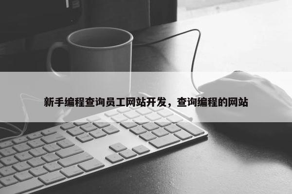 新手编程查询员工网站开发，查询编程的网站