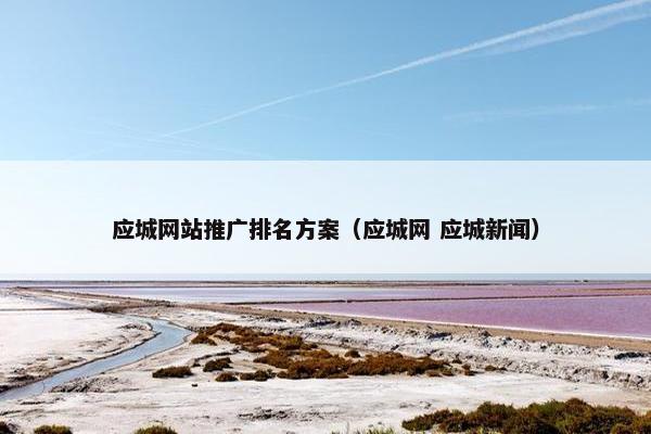 应城网站推广排名方案（应城网 应城新闻）