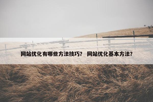 网站优化有哪些方法技巧？ 网站优化基本方法？