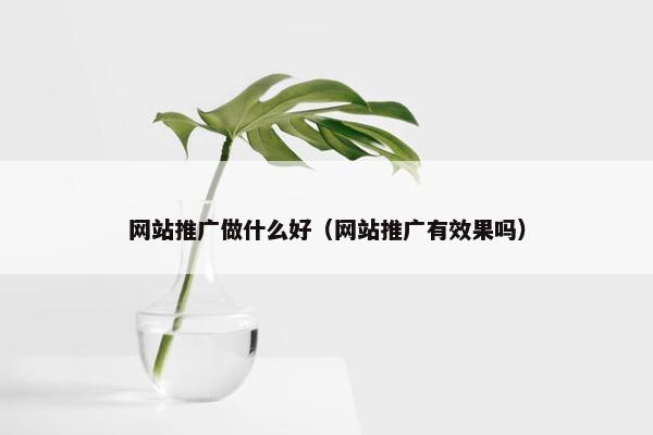 网站推广做什么好（网站推广有效果吗）