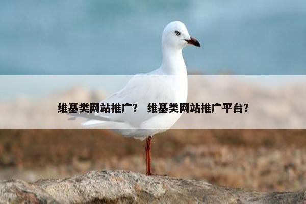 维基类网站推广？ 维基类网站推广平台？