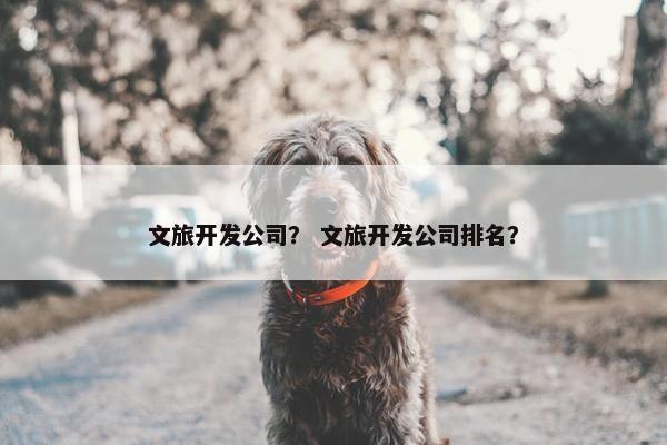 文旅开发公司？ 文旅开发公司排名？
