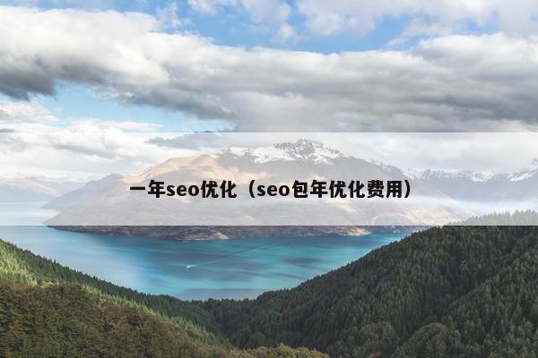 一年seo优化（seo包年优化费用）