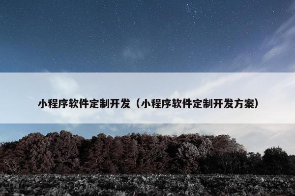 小程序软件定制开发（小程序软件定制开发方案）