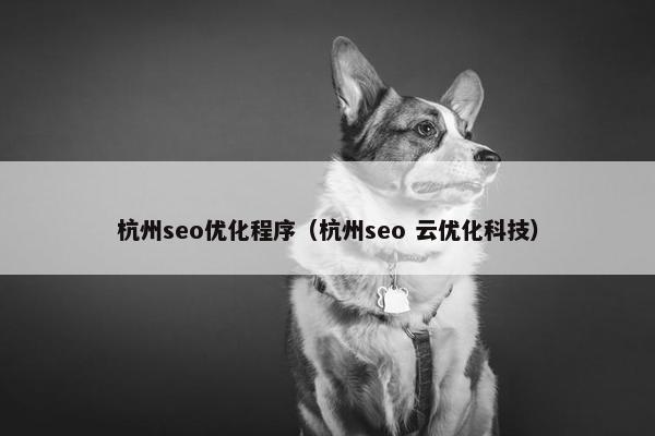 杭州seo优化程序（杭州seo 云优化科技）