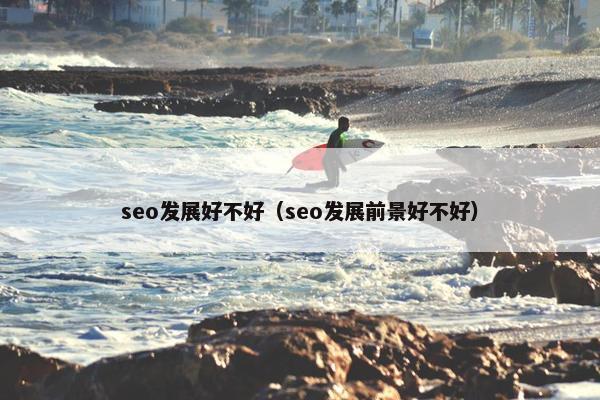 seo发展好不好（seo发展前景好不好）