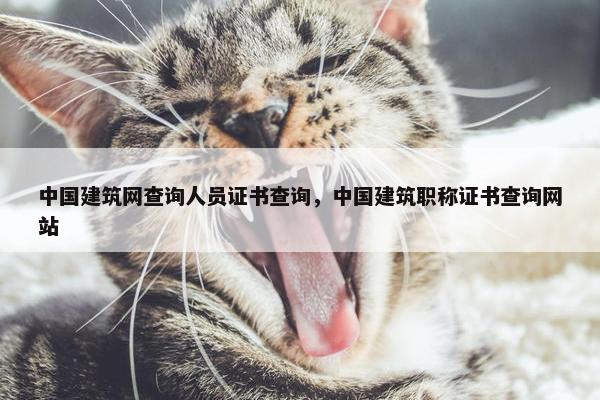 中国建筑网查询人员证书查询，中国建筑职称证书查询网站