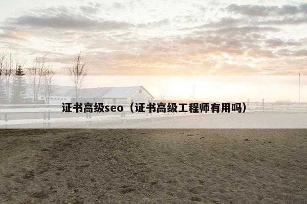 证书高级seo（证书高级工程师有用吗）