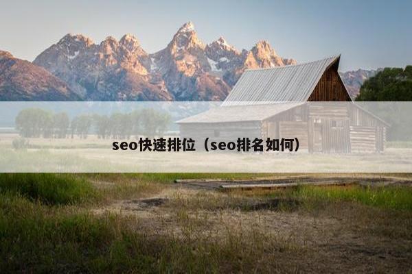seo快速排位（seo排名如何）