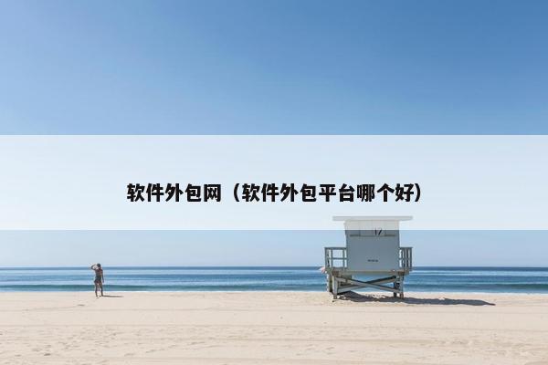 软件外包网（软件外包平台哪个好）
