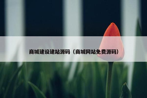 商城建设建站源码（商城网站免费源码）