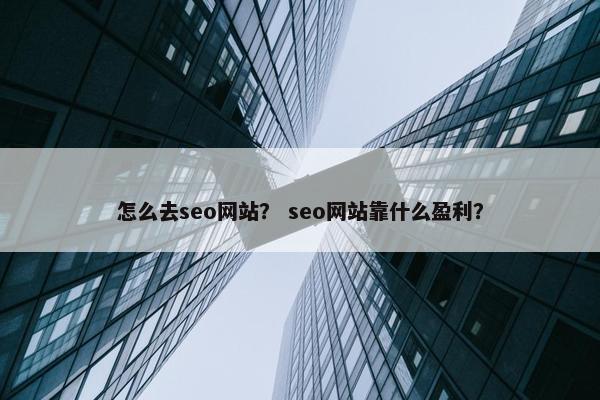 怎么去seo网站？ seo网站靠什么盈利？