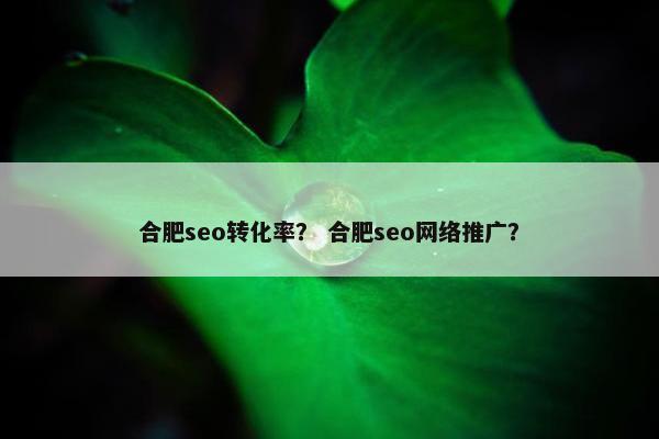 合肥seo转化率？ 合肥seo网络推广？