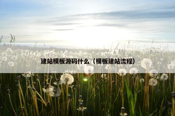 建站模板源码什么（模板建站流程）