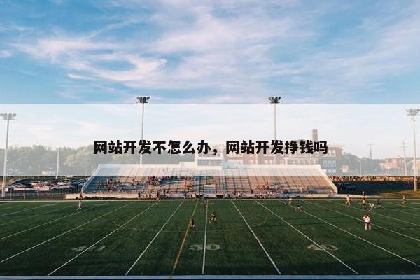 网站开发不怎么办，网站开发挣钱吗