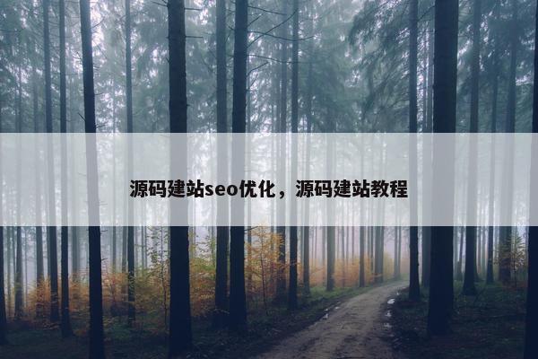 源码建站seo优化，源码建站教程