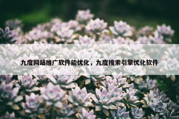 九度网站推广软件能优化，九度搜索引擎优化软件