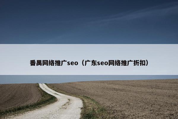 番禺网络推广seo（广东seo网络推广折扣）