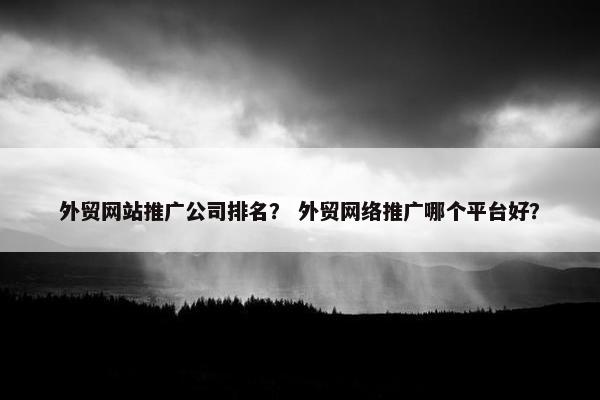 外贸网站推广公司排名？ 外贸网络推广哪个平台好？