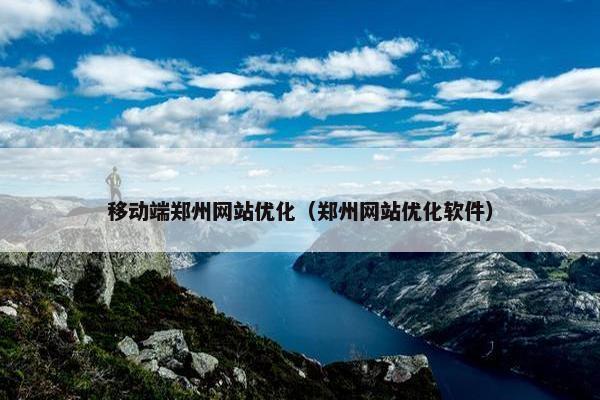 移动端郑州网站优化（郑州网站优化软件）