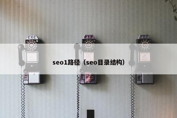 seo1路径（seo目录结构）