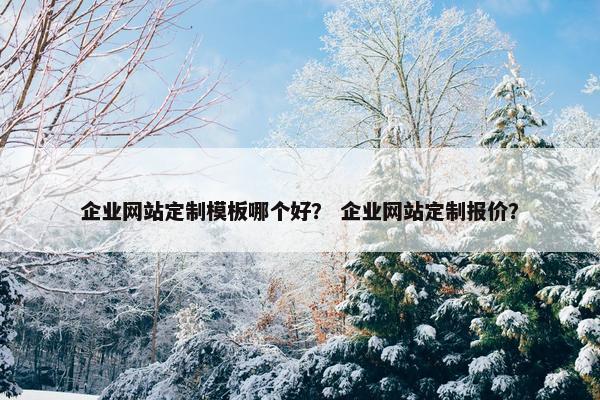 企业网站定制模板哪个好？ 企业网站定制报价？