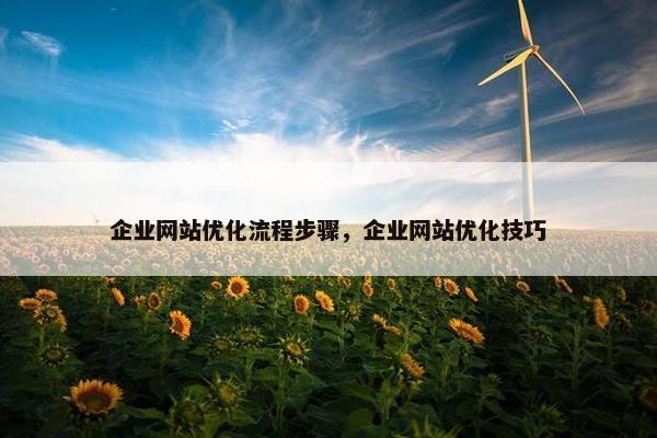 企业网站优化流程步骤，企业网站优化技巧