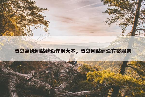 青岛高级网站建设作用大不，青岛网站建设方案服务