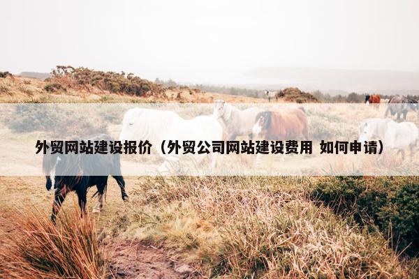 外贸网站建设报价（外贸公司网站建设费用 如何申请）