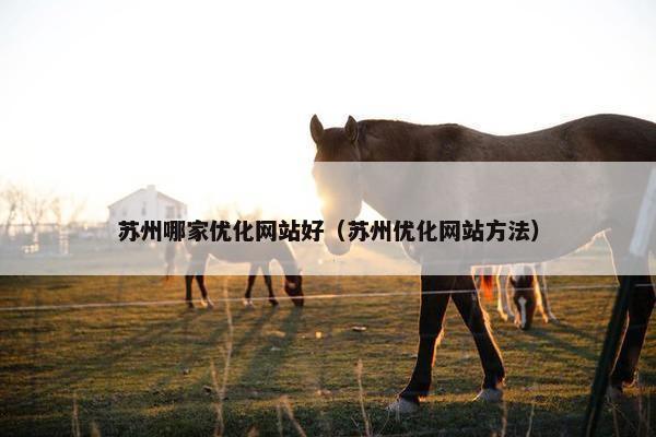 苏州哪家优化网站好（苏州优化网站方法）