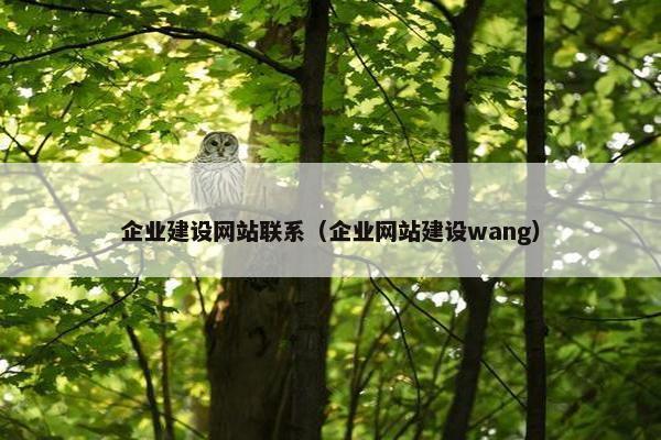 企业建设网站联系（企业网站建设wang）