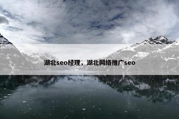 湖北seo经理，湖北网络推广seo