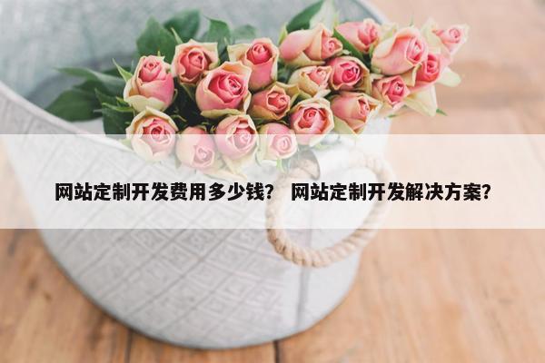 网站定制开发费用多少钱？ 网站定制开发解决方案？