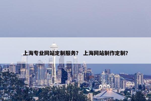 上海专业网站定制服务？ 上海网站制作定制？