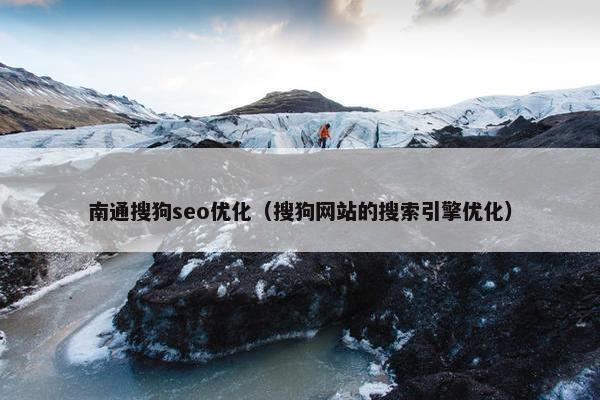 南通搜狗seo优化（搜狗网站的搜索引擎优化）