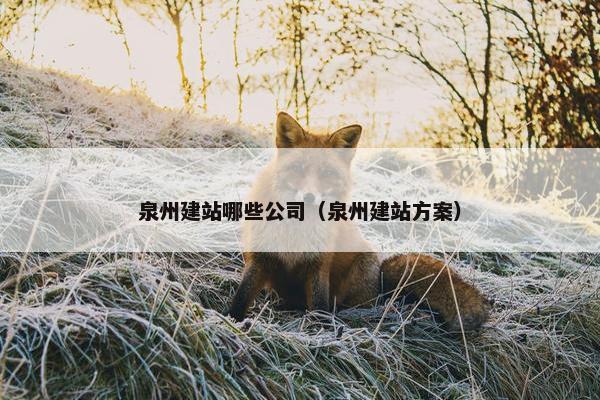 泉州建站哪些公司（泉州建站方案）